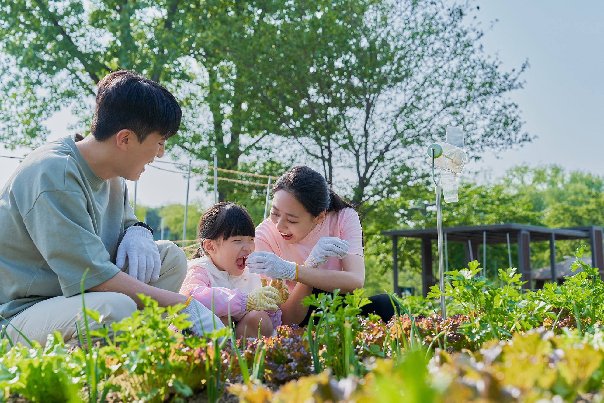 암보험 선택하기 전에 꼭 확인해야 할 점은?